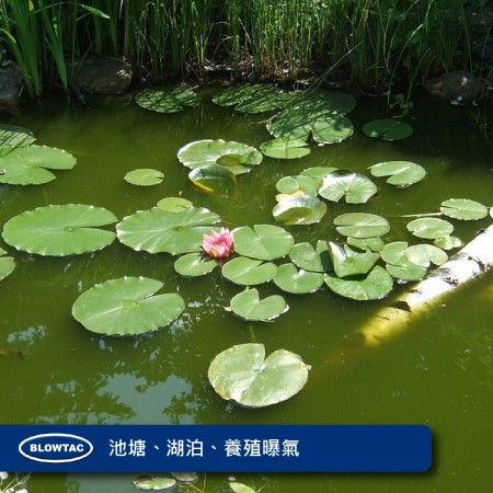 池、湖、養殖の曝気