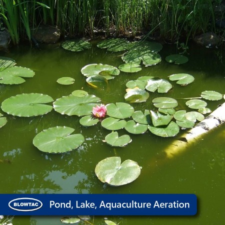 Aeração para lagoas e aquicultura