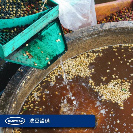 洗豆設備