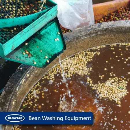 Bean Washing Equipment
