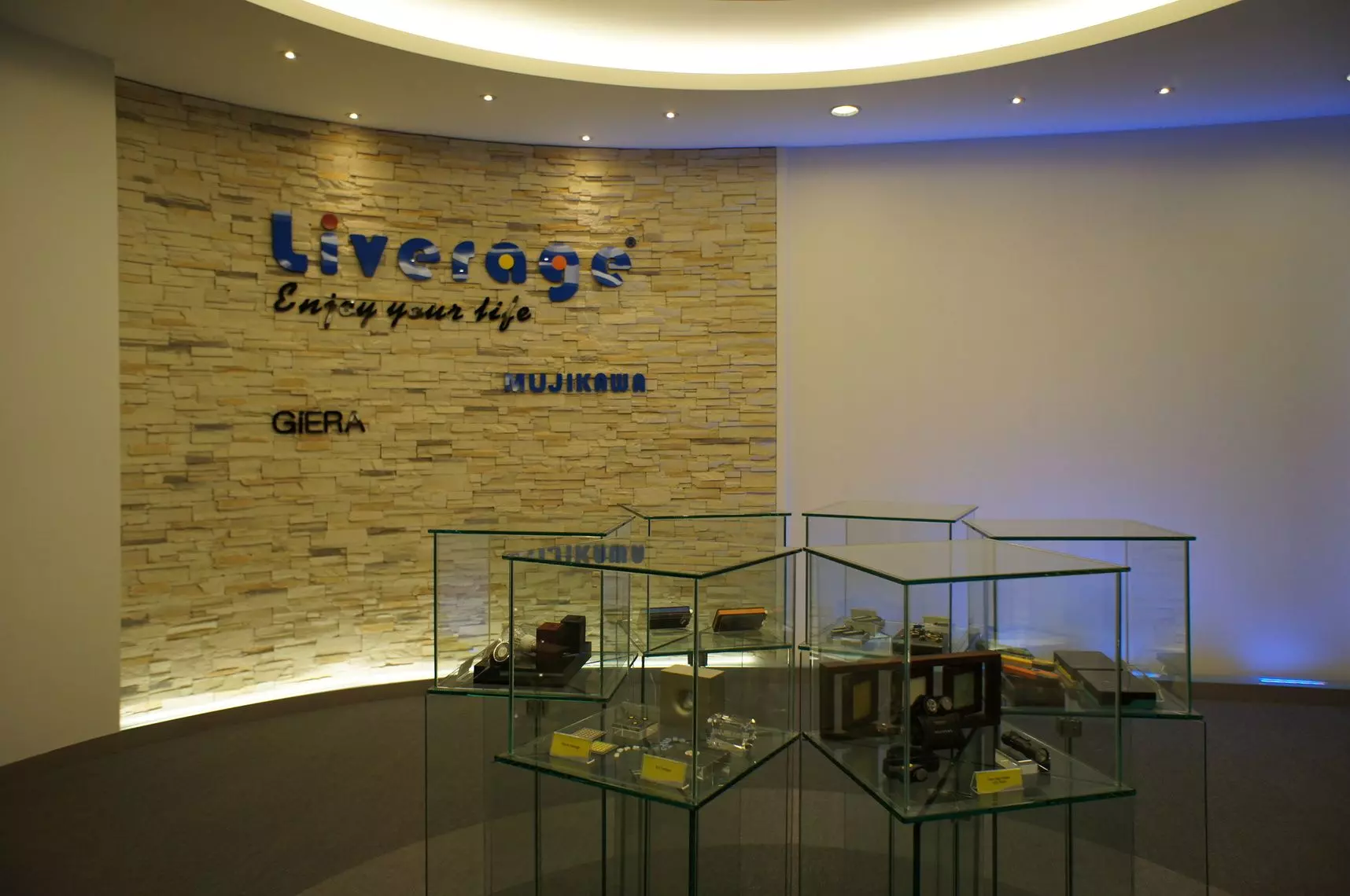 Liverage Technology Inc. занимается производством оптической связи уже более 15 лет.