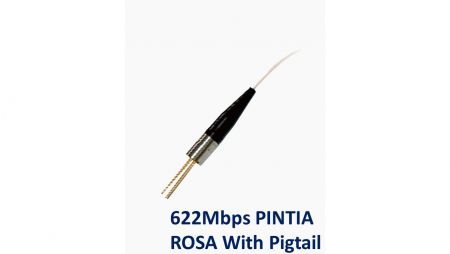 Pigtail이 장착된 622Mbps PINTIA ROSA - 622Mbps PINTIA 피그테일