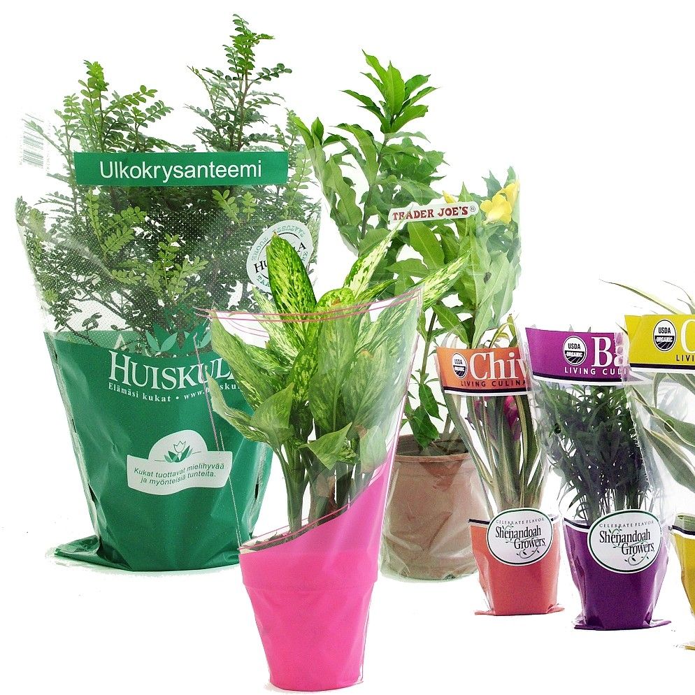 BOPP and CPP flower sleeves for cut fresh flower bouquets and potted plants packaging directly from factory