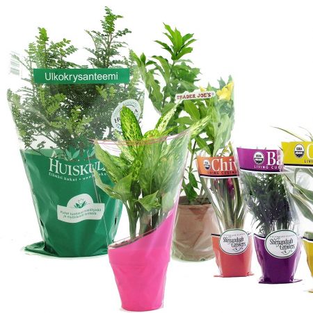 BOPP Cellophane & CPP flower sleeves