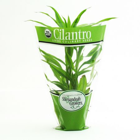 customized print biodegradable cpp flower sleeves for potted plants