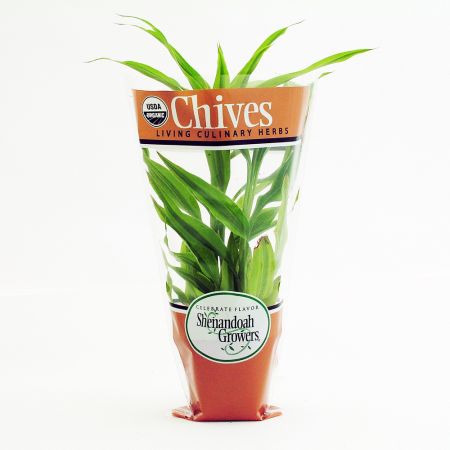 custom print waterproof eco-friendly biodegradable cpp flower sleeves for potted living plants