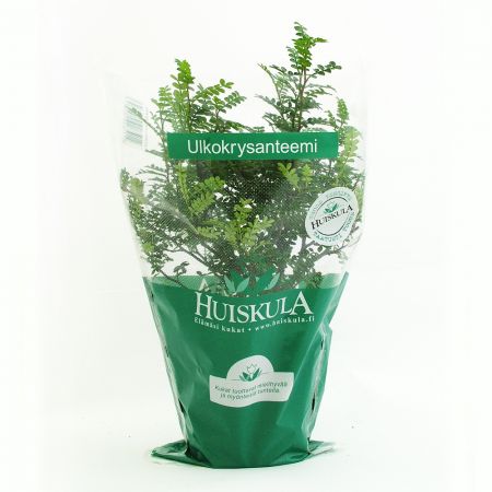 print waterproof biodegradable cpp flower sleeves for flowers