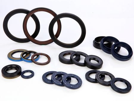 Transmission Seal