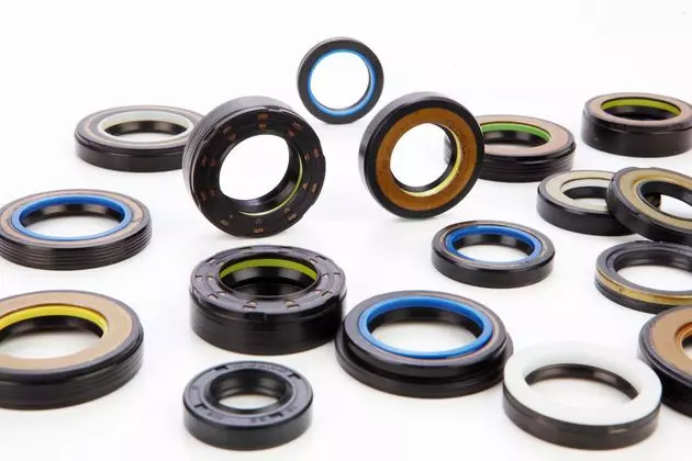 Power Steering Oil Seal