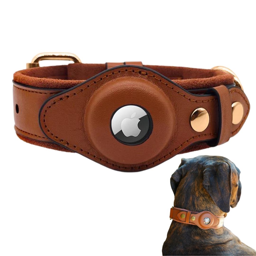 Collar de cuero auténtico para perro Airtag, accesorio para mascotas de  alta resistencia con soporte para Airtag