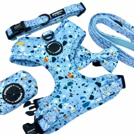 Dog Harness And Leash Set - Custom pet accessories Set