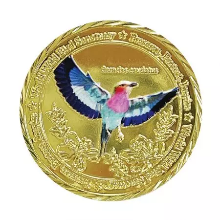 Tilpass mynt med 3D digitaltrykk kan gi logoen eller designet ditt mer dimensjon.