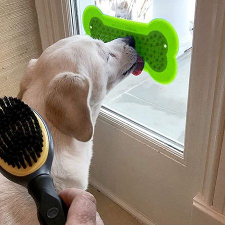 Настройте подстилку для собак.