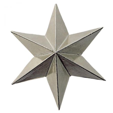 Customized star pin to symbolize honor.
