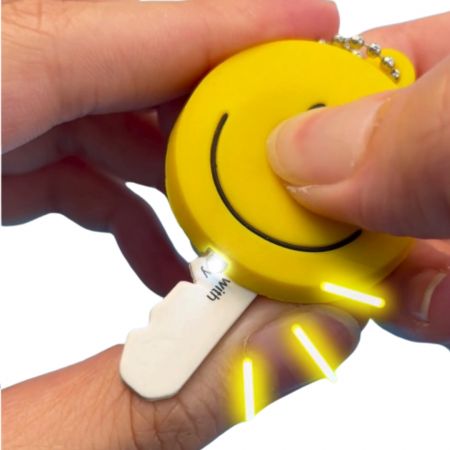 Soft PVC lighted keychain.