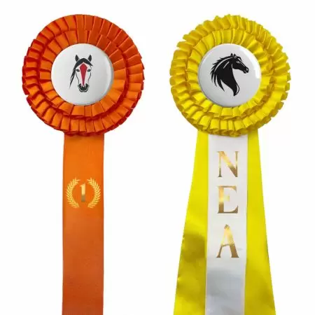 Personalized Rosette Ribbon - Custom rosette ribbon awards.