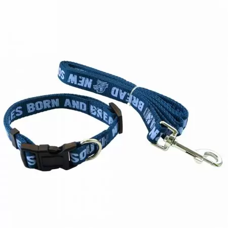 Puppy Collar And Leash - Puppy collar and leash sets are designed with comfort for small, growing pets.