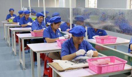 Rigorous Pre-Shipment Inspection