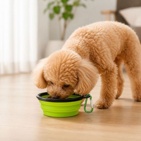 personalized collapsible dog bowl.