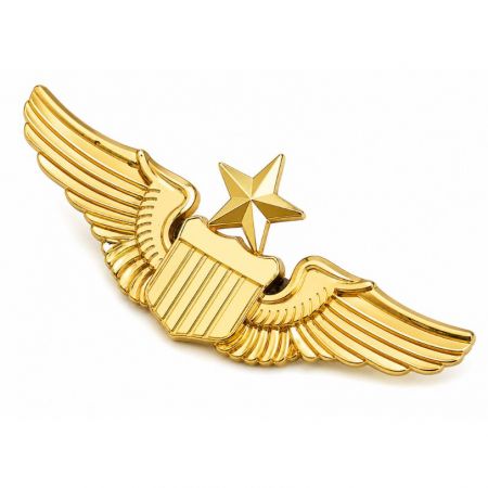 personligt pilotvingemärke.