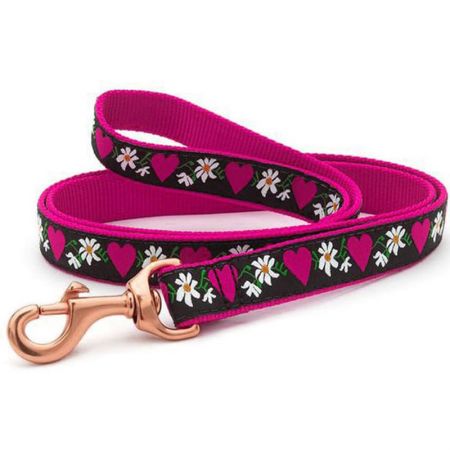 Welcome to custom collar and leash with Star Lapel Pin.