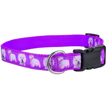 The pet collar and leash makes your pet more eye-catching.