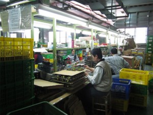Ispettori di qualità che verificano le schede di alimentazione e i componenti prima dell'assemblaggio