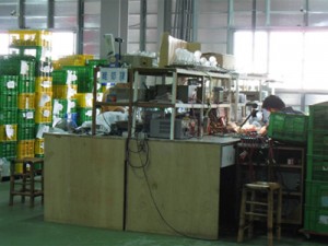 Area di prodotti finiti e preparazione per l'esportazione per la logistica globale