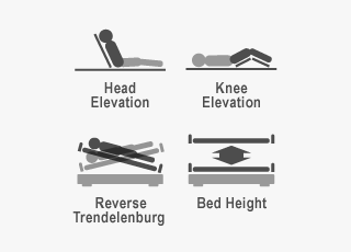 Functional Modes