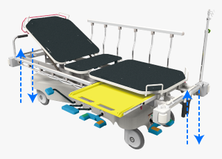 Bed Elevation