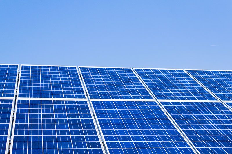 Celadon Environmentally Friendly Policy