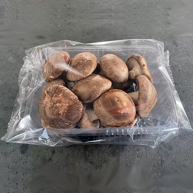 Mushroom Packaging Machine