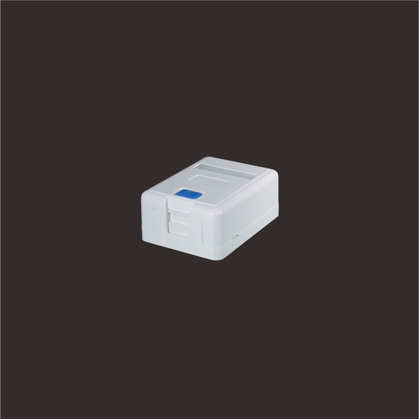 1-Port Surface Mount Box with Door
