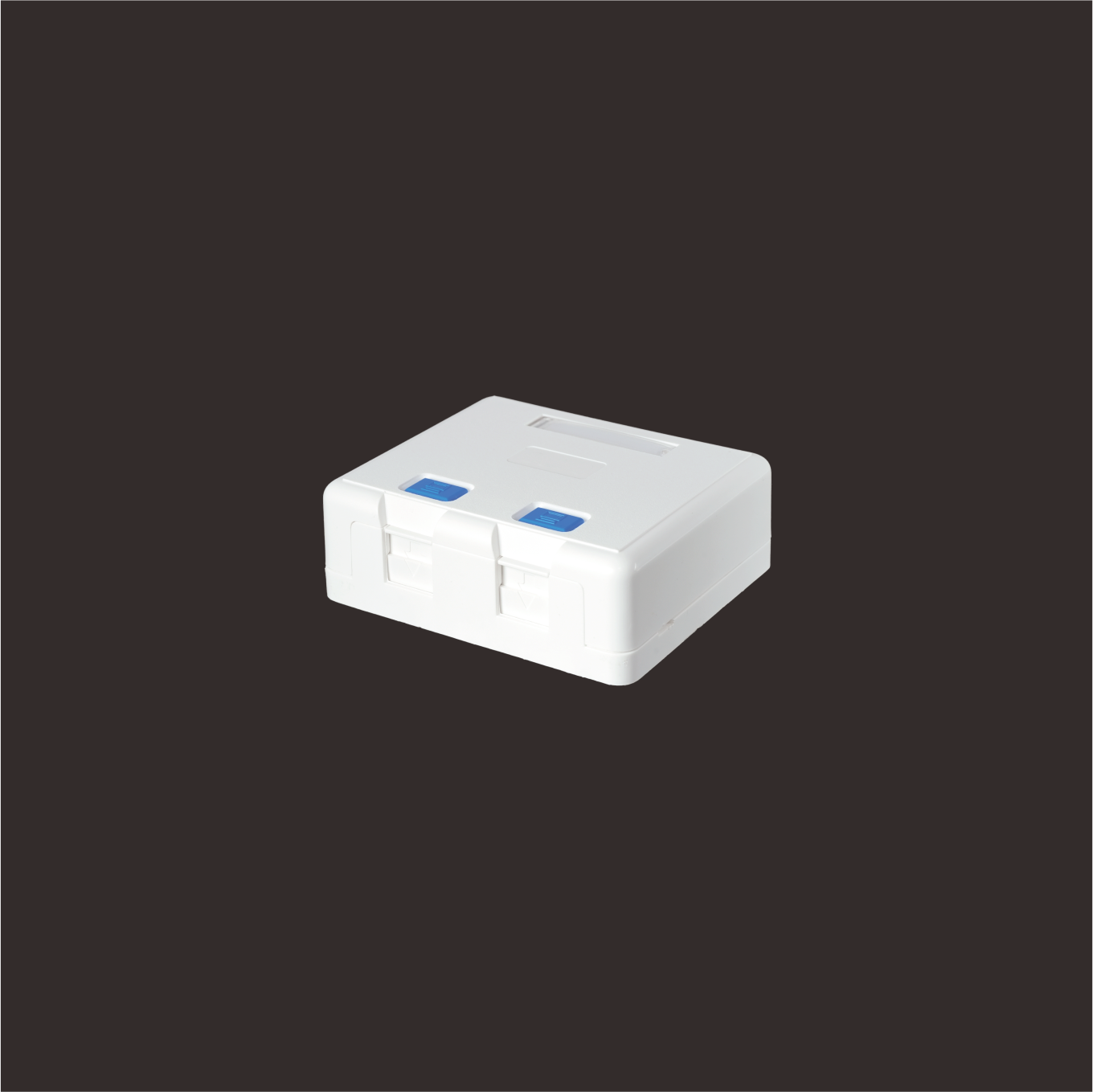 2-Port Surface Mount Box with Door