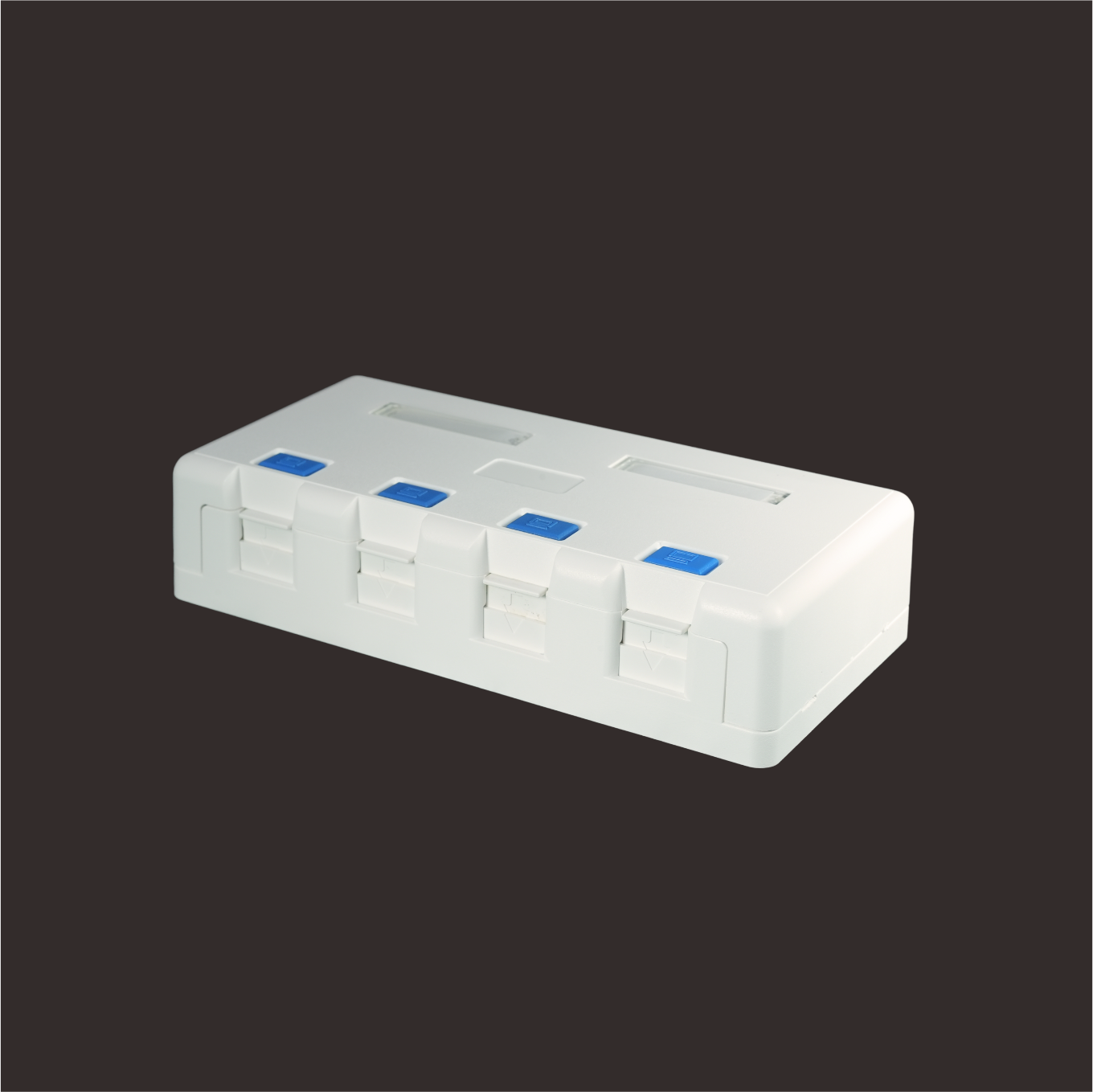 4-Port Surface Mount Box with Door