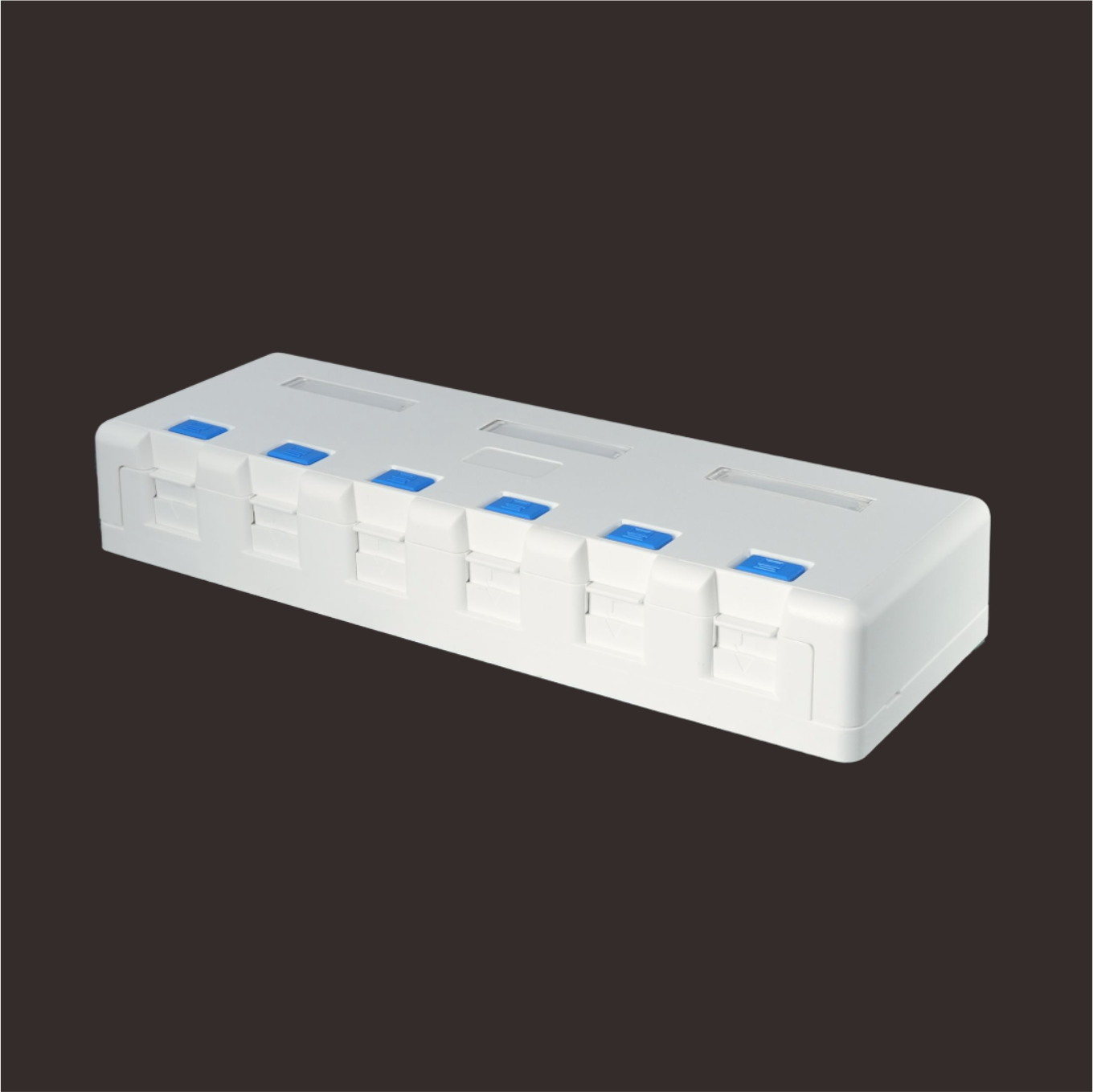 6-Port Surface Mount Box with Door