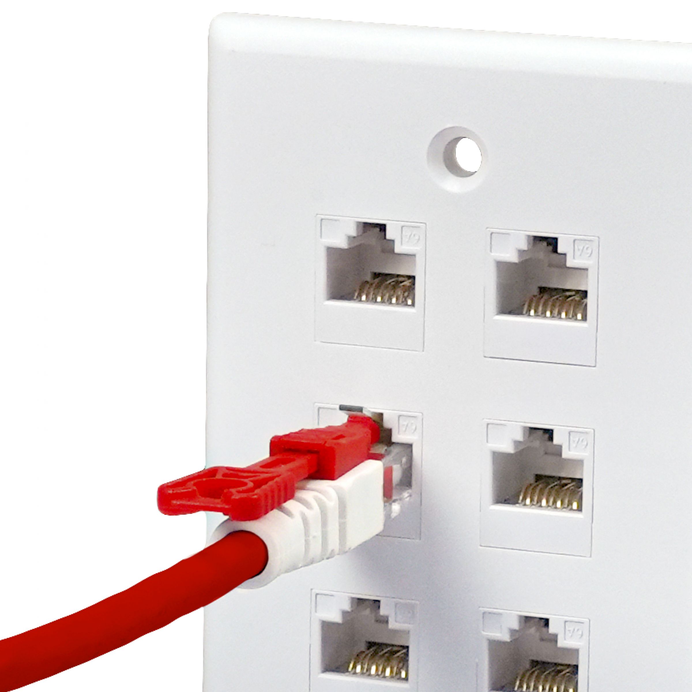 RJ45 Cord Lock |Security Patch Cord (RJ45 Cord Lock) – HCI