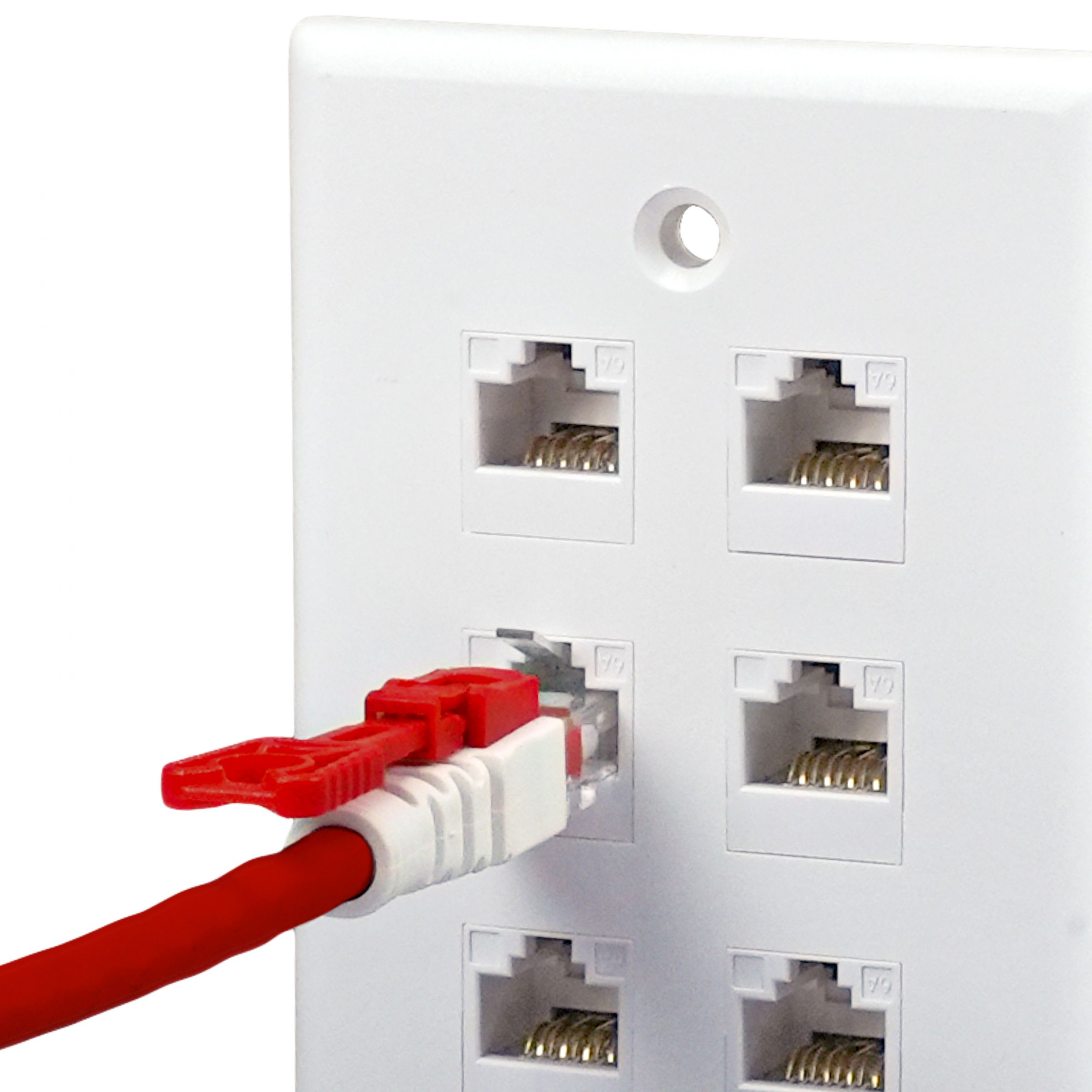 RJ45 Cord Lock |Security Patch Cord (RJ45 Cord Lock) – HCI