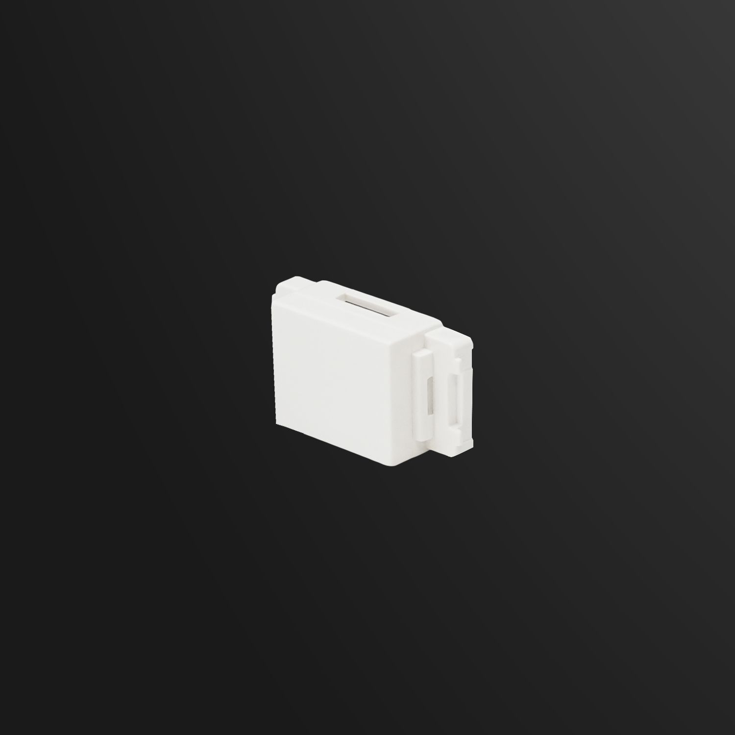 JIS Quick Snap Bezel, Blank