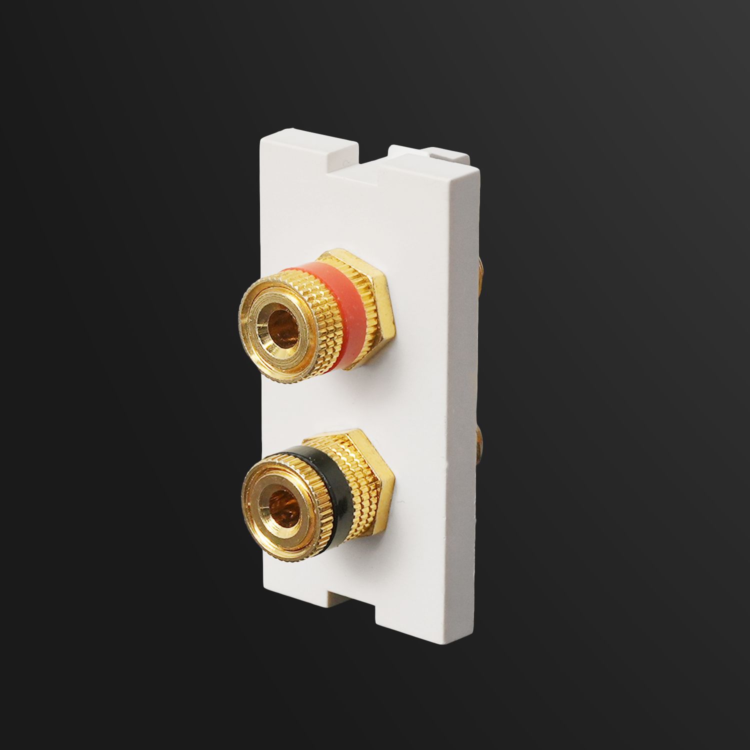 Sub-Insert 1P, Binding Post, 25x50mm