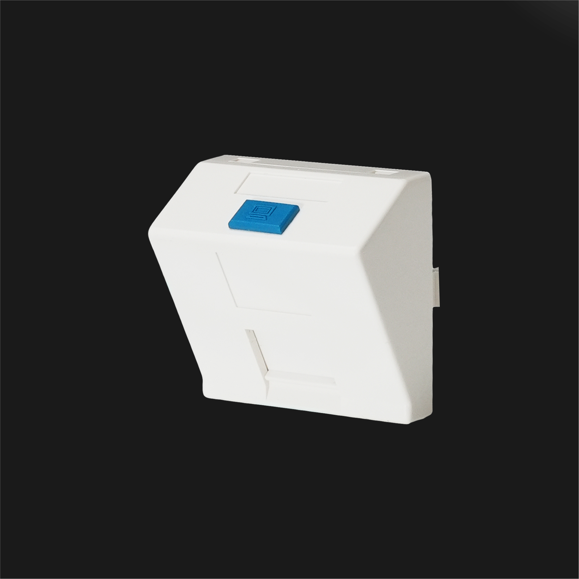 Sub-Insert 2P, Shuttered 45° 1-Port w/Color Icons, 45x45mm