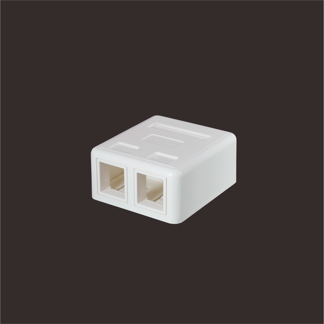 2-Port Surface Mount Box