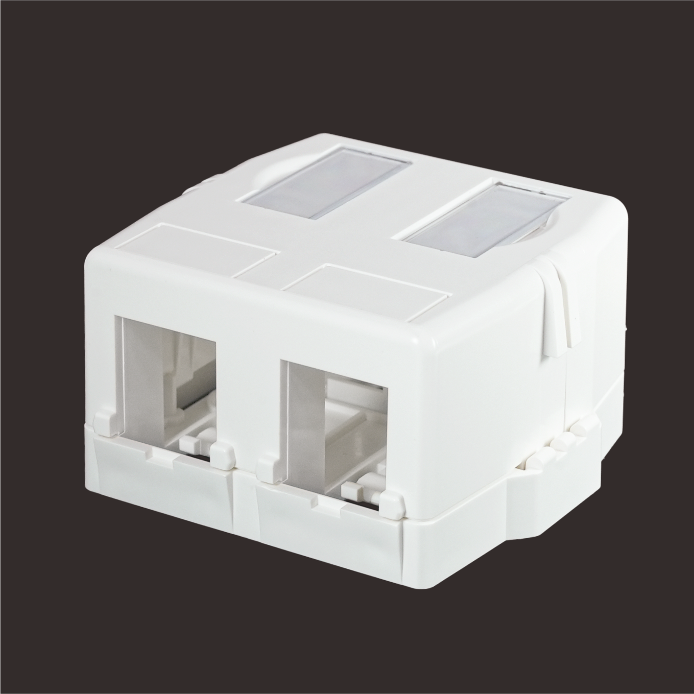 2-Port Surface Mount Box