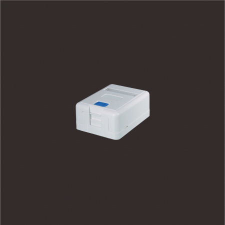 1-Port - 1-Port Surface Mount Box with Door