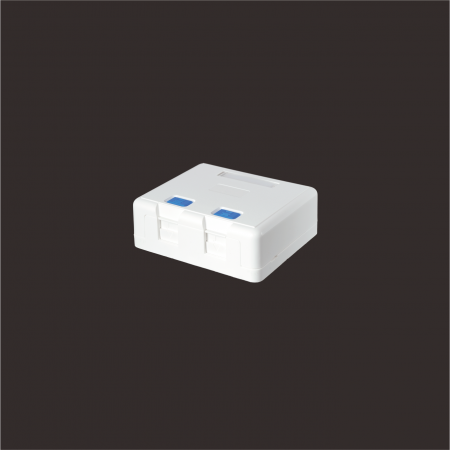 2-Port - 2-Port Surface Mount Box with Door