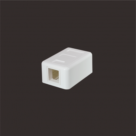 1-Port - 1-Port Surface Mount Box