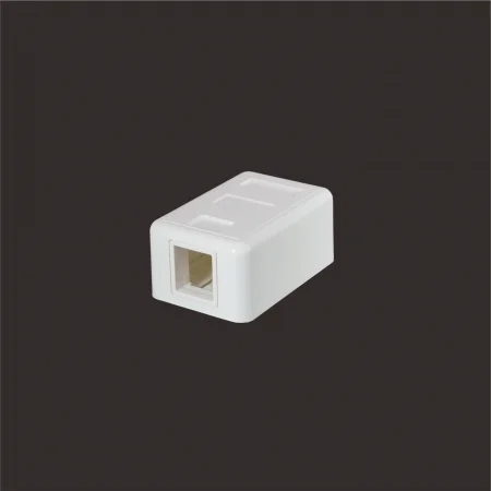 1-Port - 1-Port Surface Mount Box