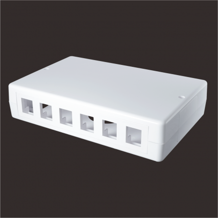 12-Port - 12-Port Surface Mount Box