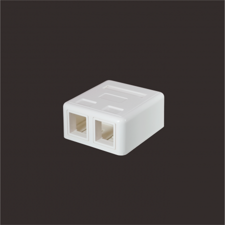 2-Port - 2-Port Surface Mount Box