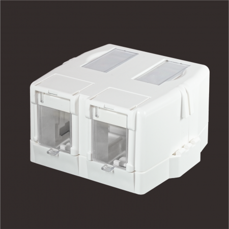 2-Port Garage-Door - 2-Port Surface Mount Box with Garage-Door Design